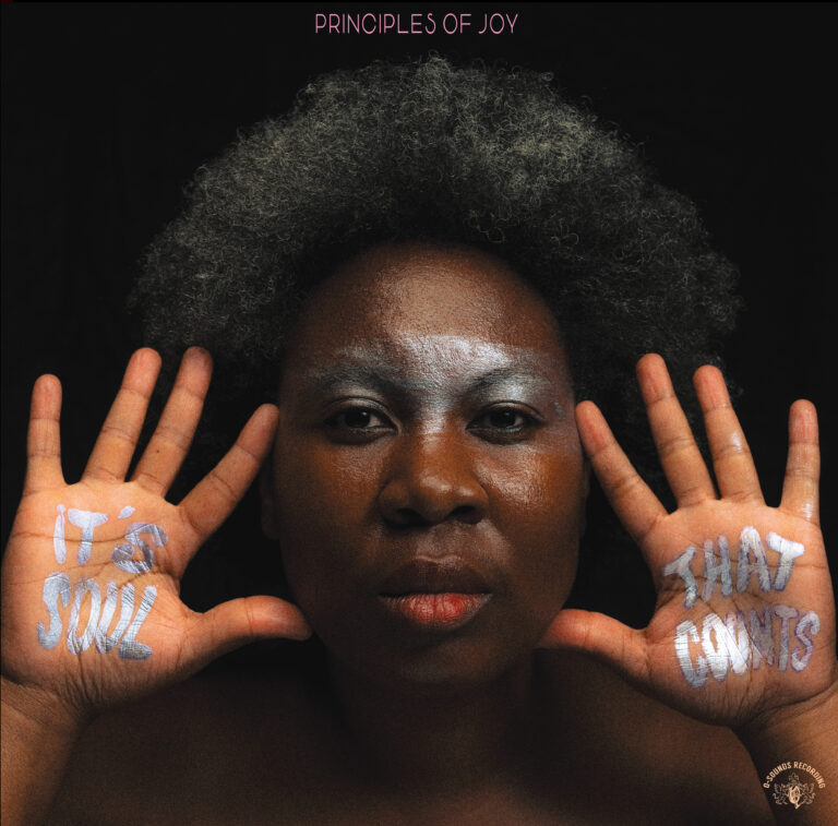 Album der Woche: Principles Of Joy – It’s Soul That Counts