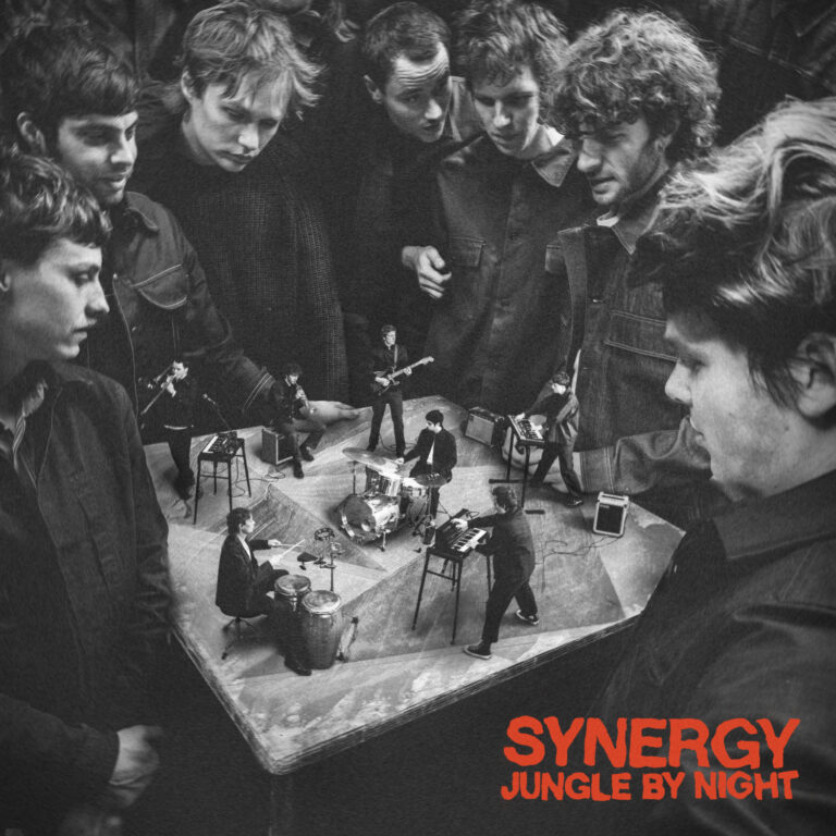 Album der Woche: Jungle By Night – Synergy